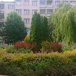 Apartament Navigare