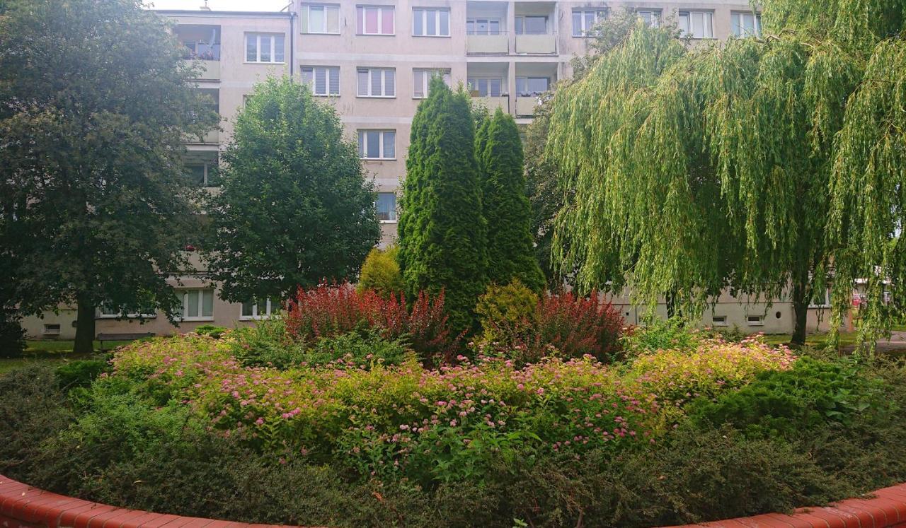 Apartament Navigare *